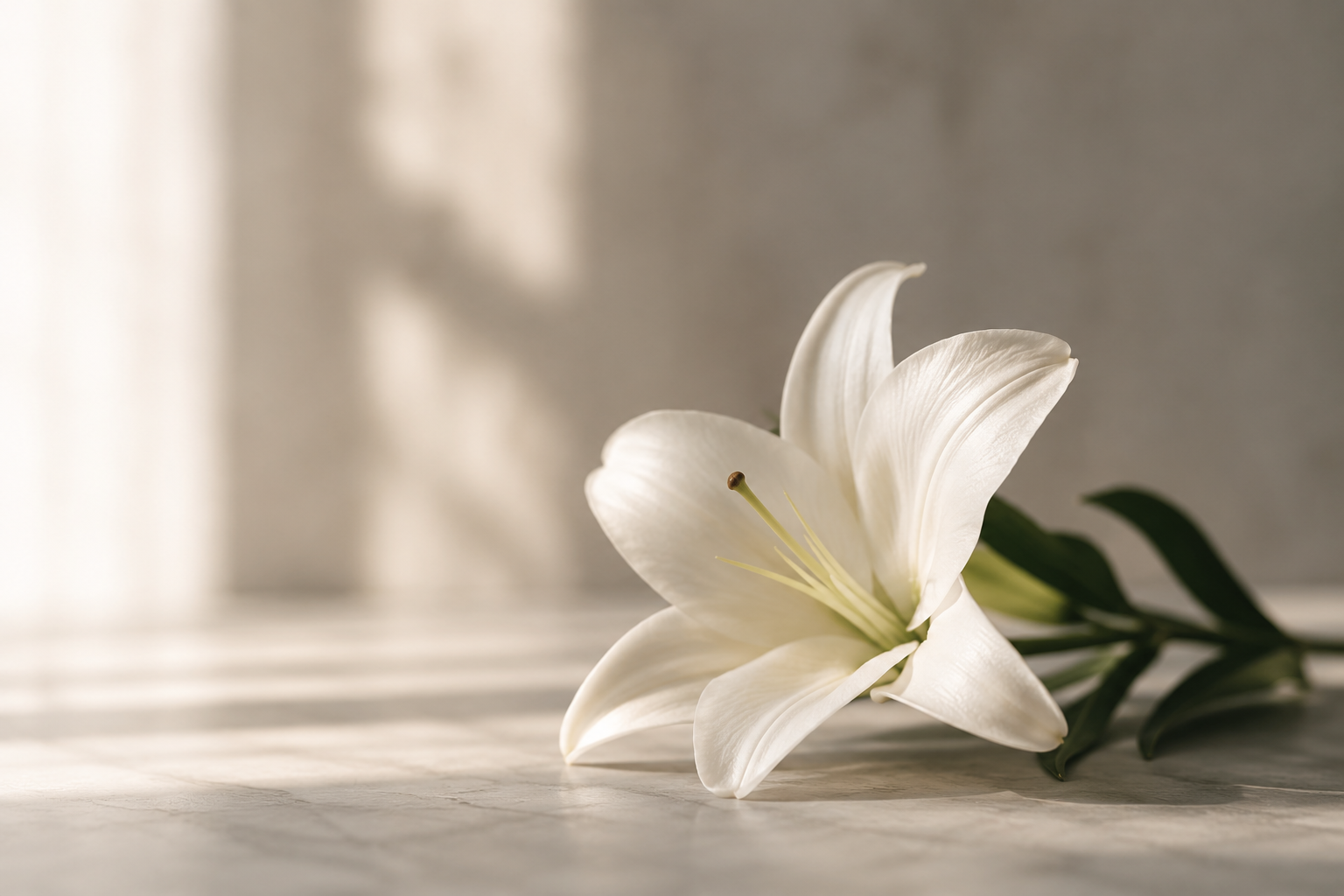 Hypnotherapy for Grief & Loss